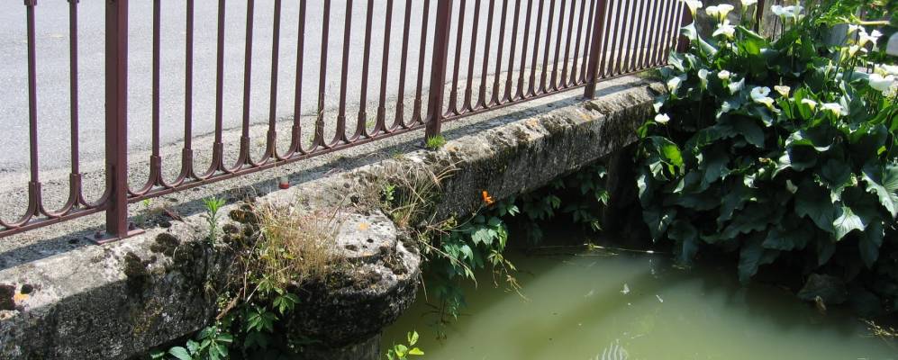 
            Фотография Гонто-де-Ногаре