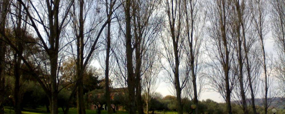 
            Фотография Санта Мария Имбаро