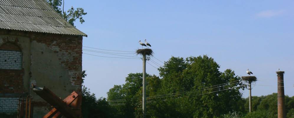 
            Фотография Ольховатки