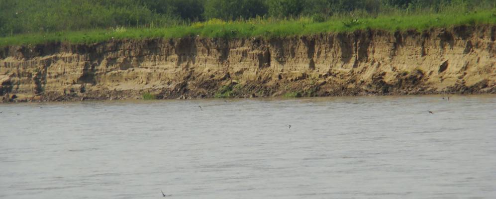 
            Фотография Луки