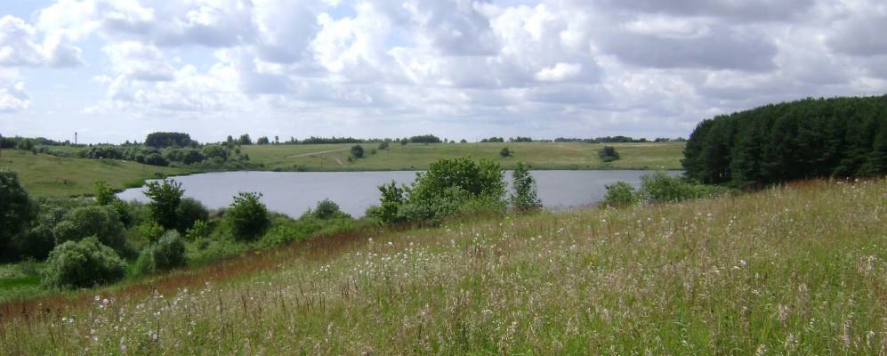 
            Фотография Дмитрово