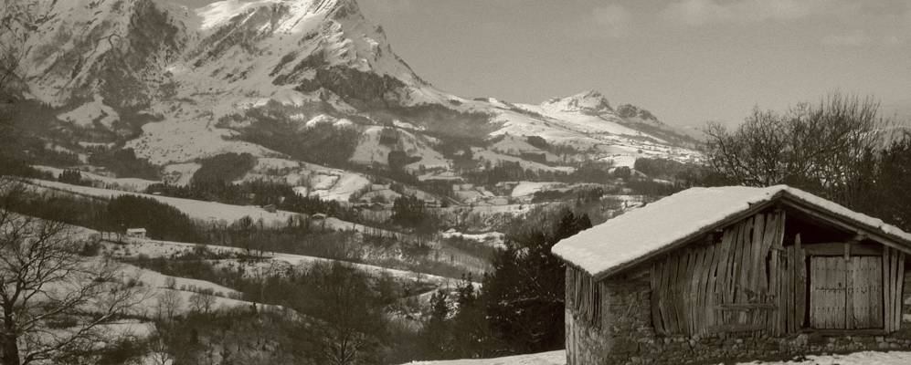 
            Фотография Бетелу