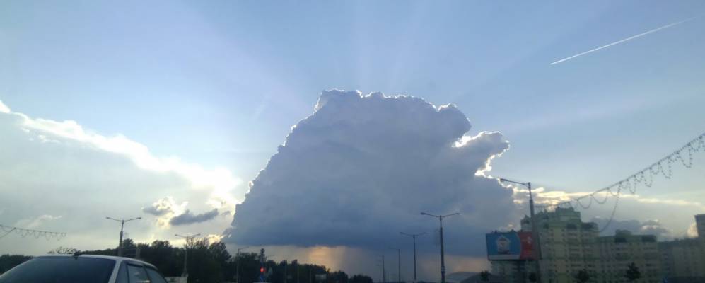 
            Фотография Кунцевщины