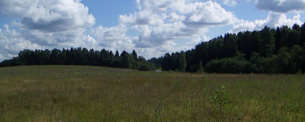 Фотография Чаново