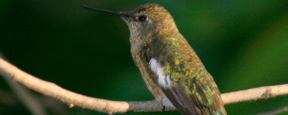 
            Фотография Лойолы