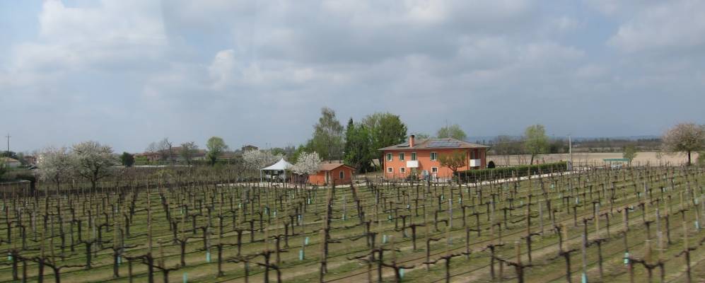 
            Фотография Ловадины