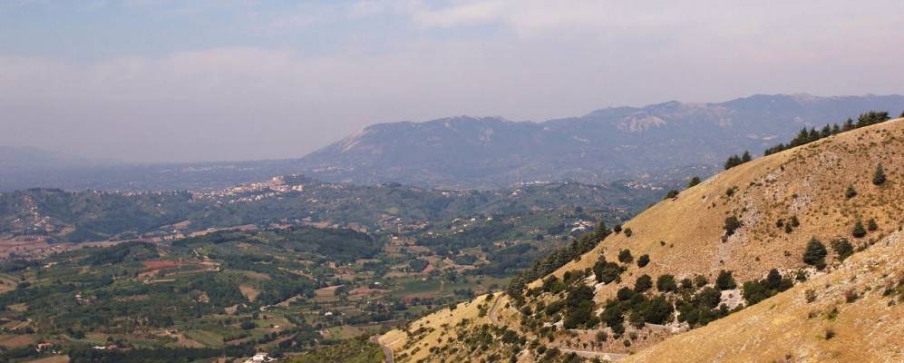 
            Фотография Акуто