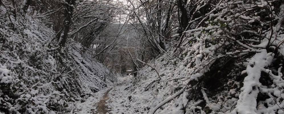 
            Фотография Sainte-Croix