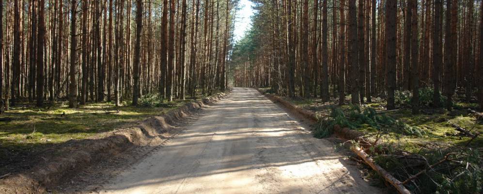 
            Фотография Радованья