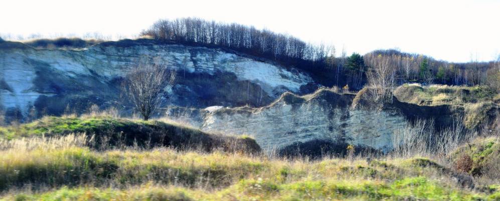 
            Фотография Кривни