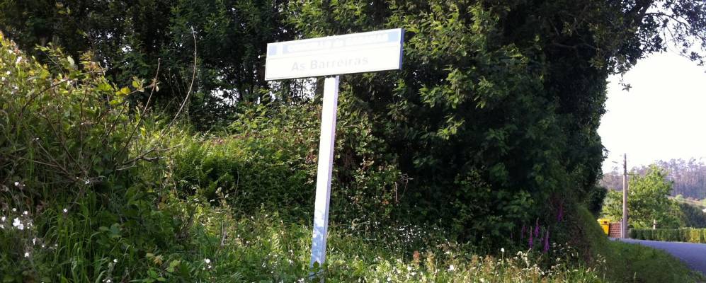 
            Фотография Фене