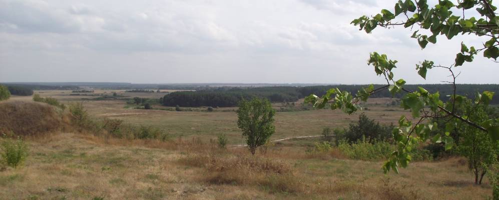 
            Фотография Ницаха