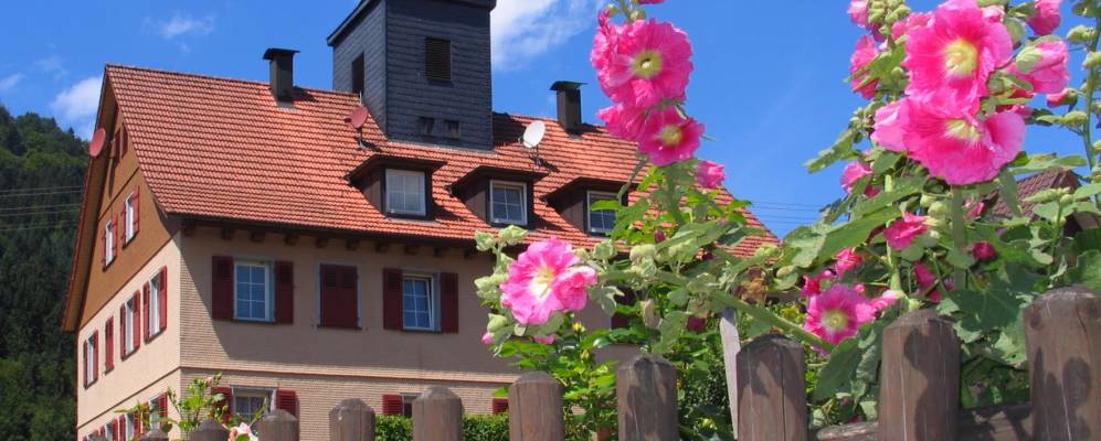 
            Фотография Нофен Ан Дер Энце