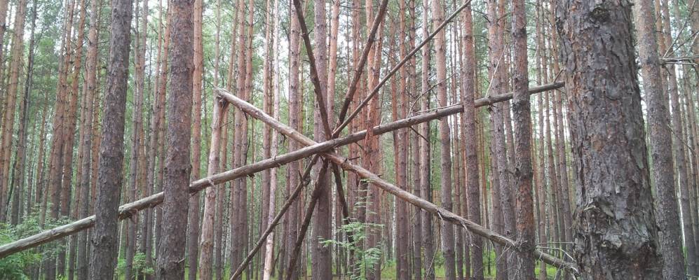 
            Фотография Лядовского