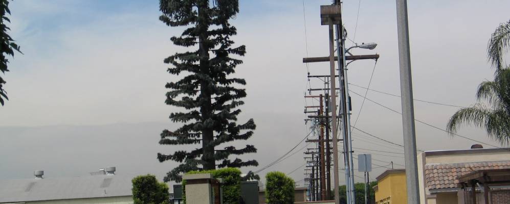 
            Фотография Парамаунта