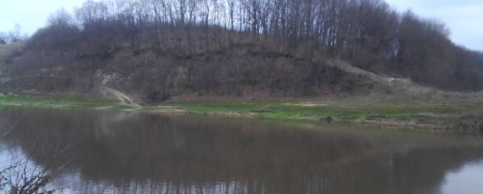 Фотография Космаковки