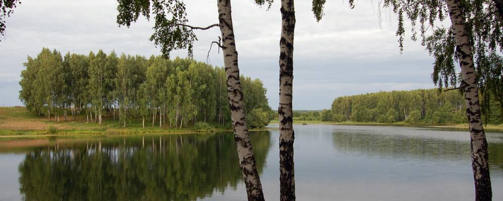 
            Фотография деревни Вяхори