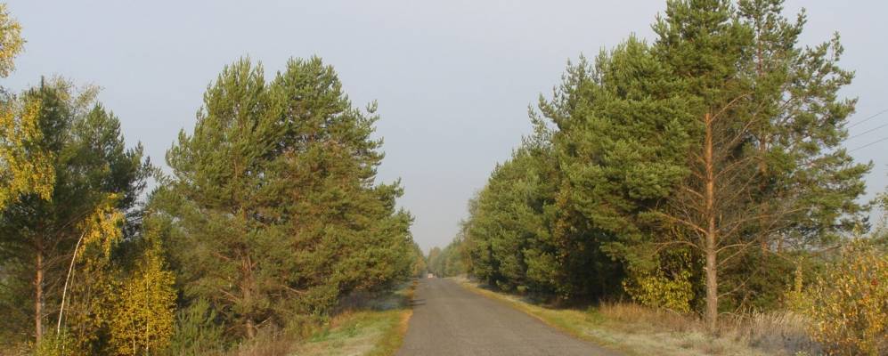 
            Фотография Клеево