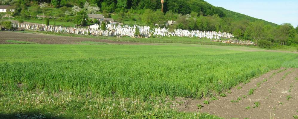 
            Фотография Червоного