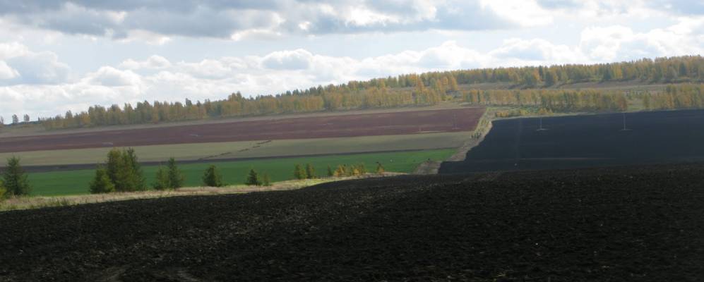 
            Фотография Еланыша