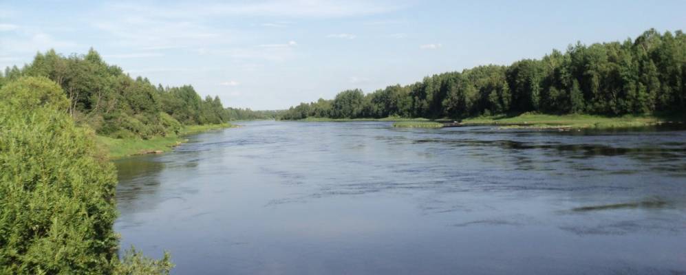 
            Фотография урочища Воробьи