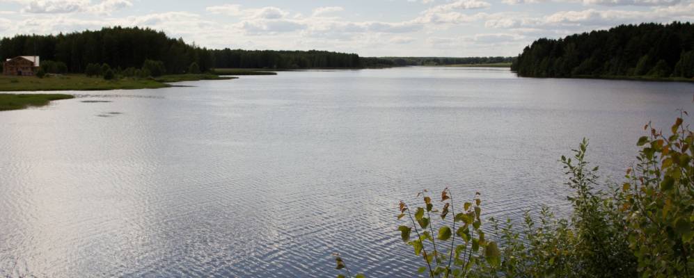 
            Фотография Ступино