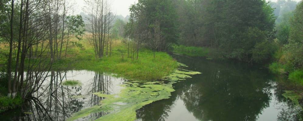 
            Фотография Сохтанки