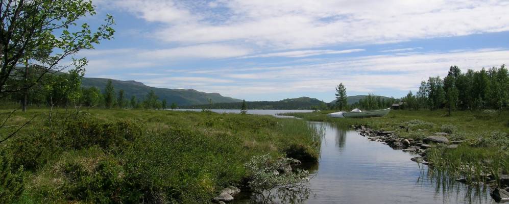 
            Фотография Мюсусетер