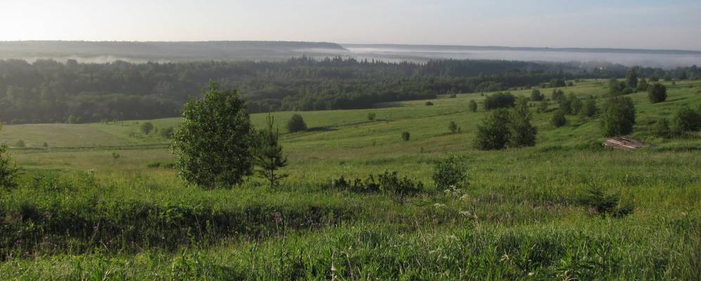 
            Фотография Исполиновки