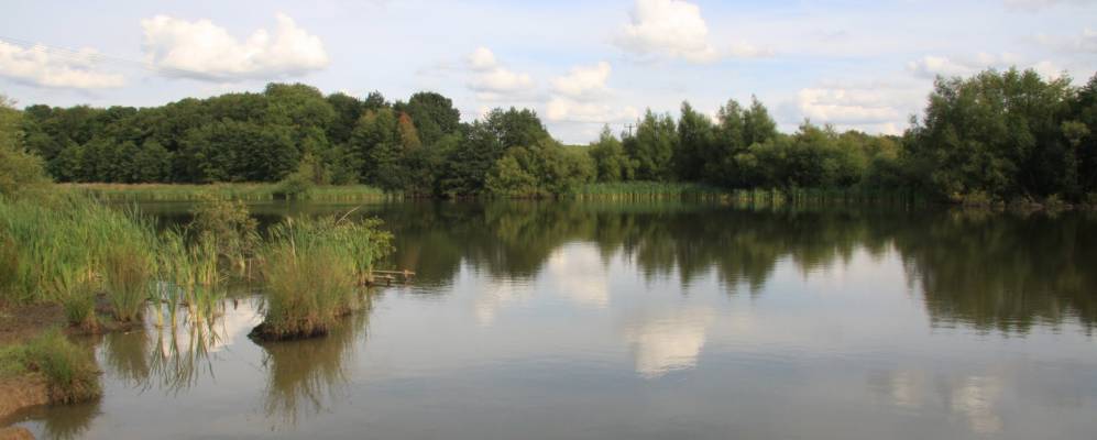 
            Фотография Moira