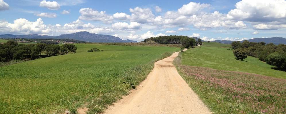 Фотография Полинйи