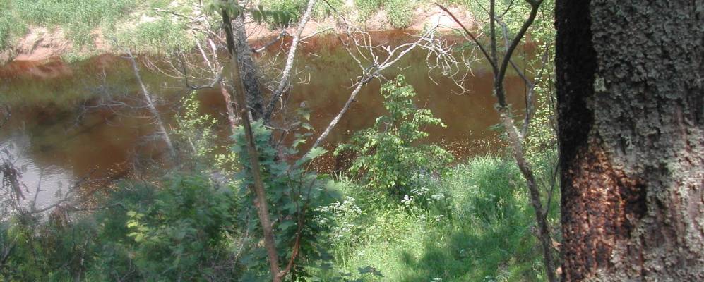 Фотография Залесья