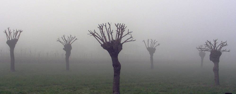 
            Фотография Лурье