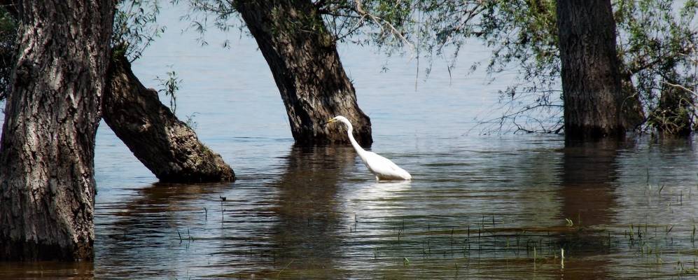 Фотография Рыбовода