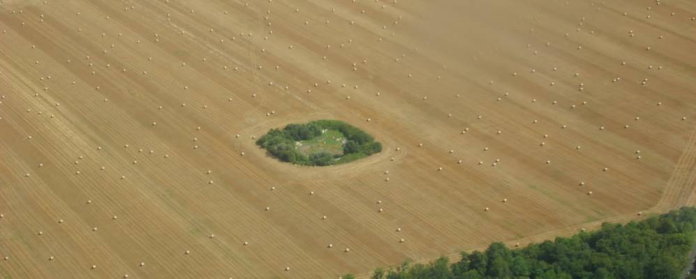 
            Фотография Верну-ля-Сель-сюр-Сена