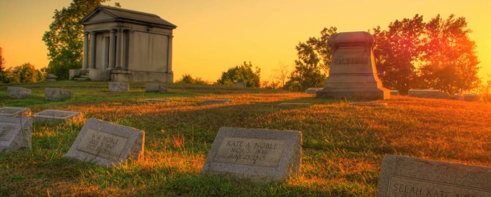 
            Фотография Веллстона