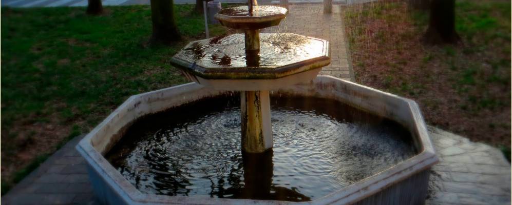 
            Фотография Оригджо