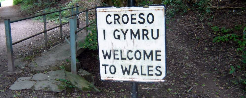 
            Фотография Найтона