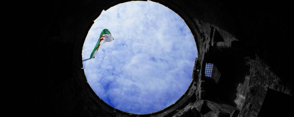 
            Фотография Конуи