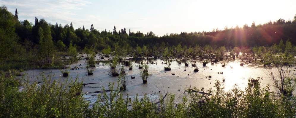 
            Фотография Тибелево