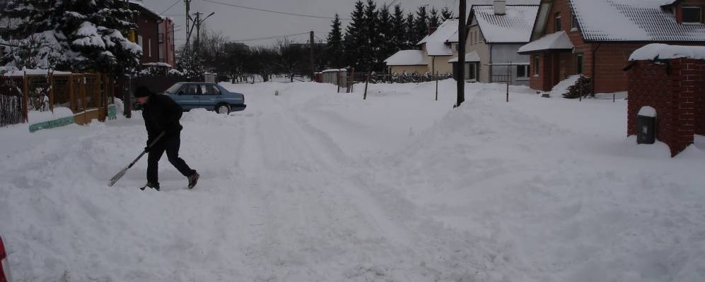 
            Фотография Ласка