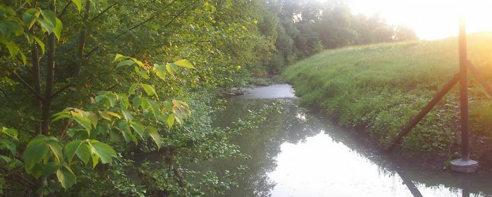 
            Фотография Ванькино