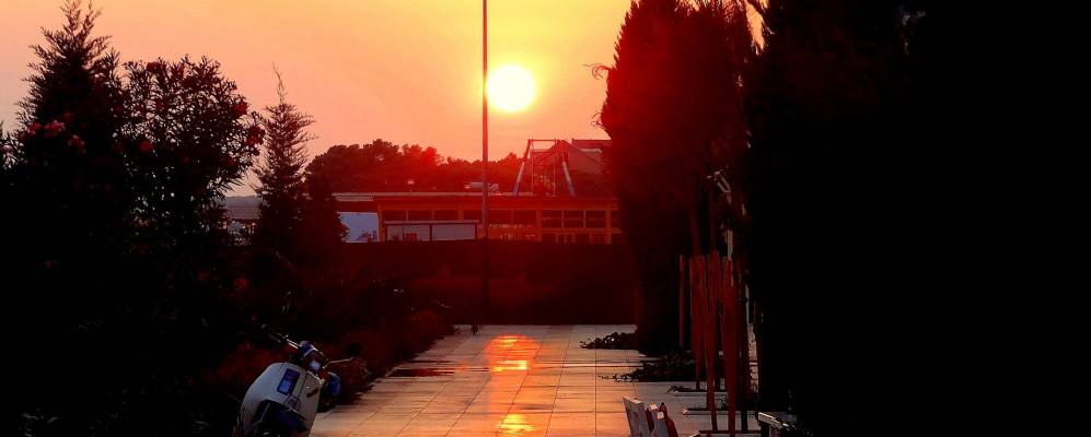 
            Фотография Велипойе