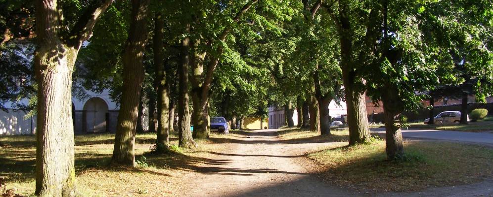 
            Фотография Бртнице