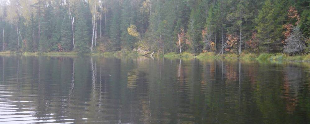 
            Фотография Левино