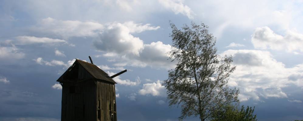 
            Фотография Свидя