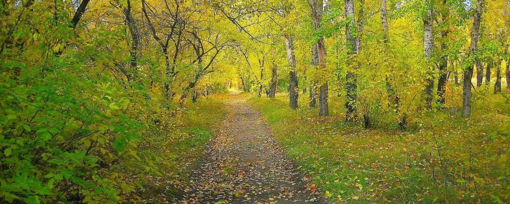 
            Фотография Ягодного