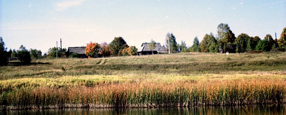 
            Фотография Селибы