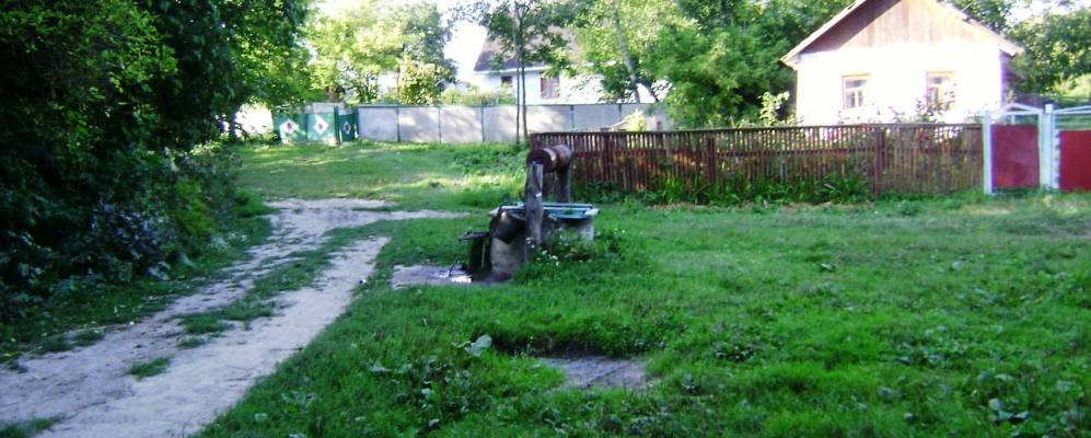 
            Фотография Бейзимы