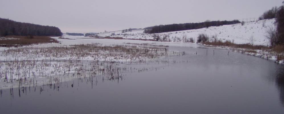 
            Фотография Лопатинцы